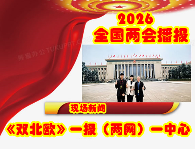 中国国际文化传播中心执行主席龙宇翔参加全国政协十四届四次会议开幕式