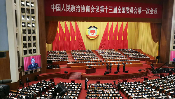 海外华人关注全国政协十三届一次会议开幕