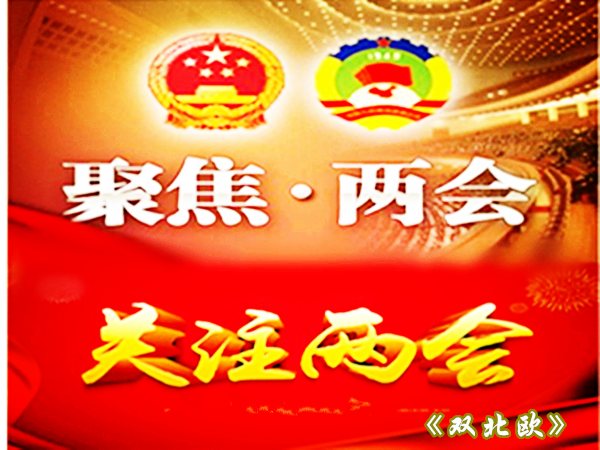 热烈祝贺全国政协十三届二次会议在北京召开