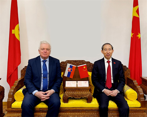中国国际文化传播中心执行主席龙宇翔亲切会见斯洛伐克驻华大使杜尚贝拉